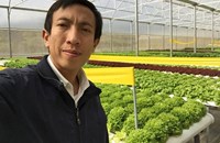 Nguyễn Quốc Phong - Kỹ sư công nghệ thông tin làm giàu từ trồng rau