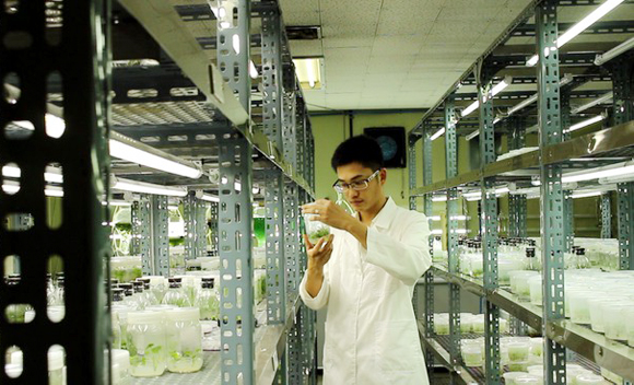 Từ cậu học trò 'nhà quê' thành nhà Khoa học trẻ xuất sắc